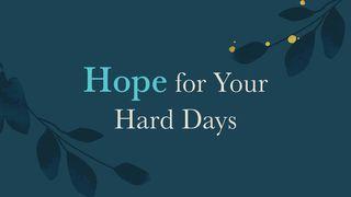 Hope for Your Hard Days I Timothy 6:15 New King James Version