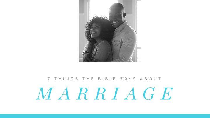 7 Things The Bible Says About Marriage