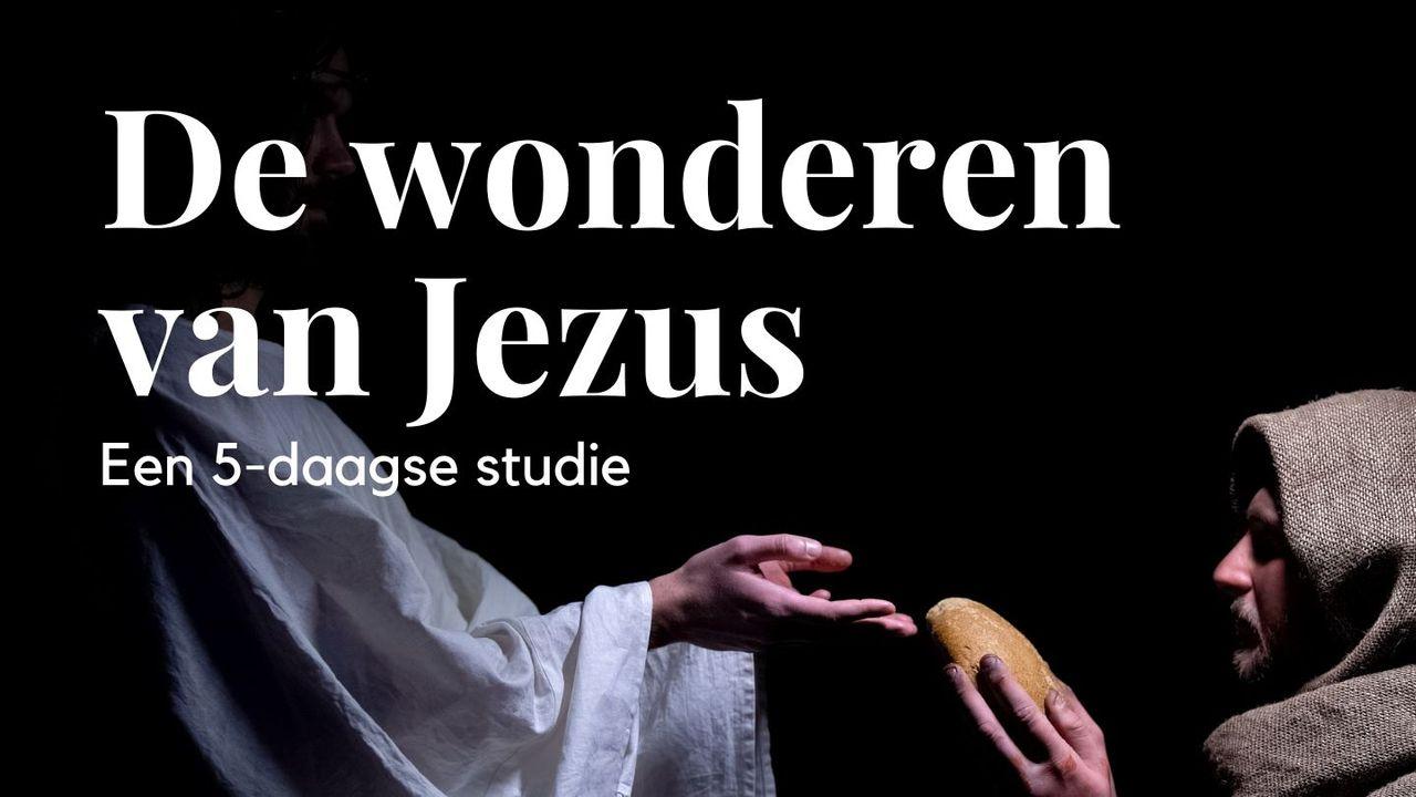 De wonderen van Jezus