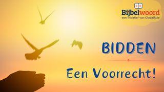 Bidden, een voorrecht! Romeinen 8:26 Het Boek