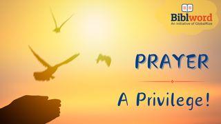 Prayer, a Privilege! Matalikilo 4:26 Baibo Busansulushi Bwa Libuku Ili