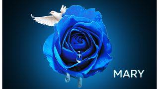 From Grief to Glory: Mary's Journey With the Risen Saviour Matthew 28:2-4 New Living Translation