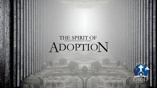 The Spirit Of Adoption ဝတ္ျပဳရာက်မ္း 20:13 ျမန္​မာ့​စံ​မီ​သမၼာ​က်မ္