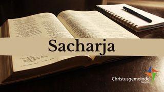 Sacharja Sacharja 1:7-11 Hoffnung für alle