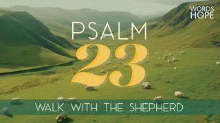 Psalm 23: Walk With the Shepherd Exodus 30:34-35 New International Version