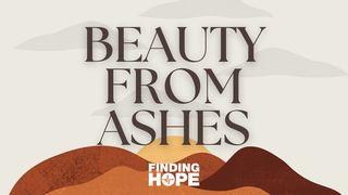 Beauty From Ashes: Finding Hope in the Midst of Devastation John 16:19-24 New International Version (Anglicised)