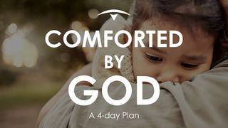 Comforted by God, a Lectio Divina Jesaja 49:15 Het Boek