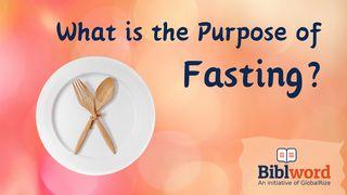 What Is the Purpose of Fasting? 耶利米书 14:11-12 新标点和合本, 神版