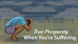 True Prosperity When You're Suffering Jeremiah 23:5 English Standard Version 2016