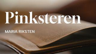 Gedichten Over Pinksteren! De Brief van den Apostel Paulus aan de Romeinen 15:13 Statenvertaling (Importantia edition)