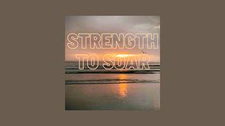 Strength to Soar by Toni LaShaun Jesaja 40:12-14 Het Boek