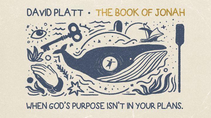 The Book of Jonah: When God’s Purpose Isn’t in Your Plans