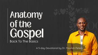 Anatomy of the Gospel - Back to the Basics  උත්පත්ති 27:28-29 Sinhala New Revised Version 2018