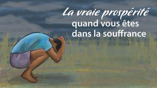 La Vraie Prospérité Quand Vous Êtes Dans La Souffrance Genèse 50:19 La Bible expliquée