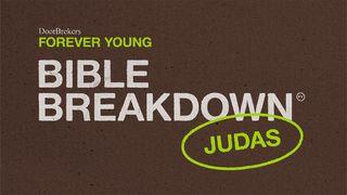 Bible Breakdown - Judas Numeri 22:27 Statenvertaling (Importantia edition)