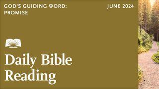 Daily Bible Reading—June 2024, God’s Guiding Word: Promise Zacharia 9:16 Het Boek