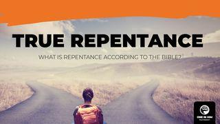 True Repentance John 3:3 English Standard Version 2016