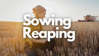 Sowing and Reaping Galatians 6:7 New Century Version