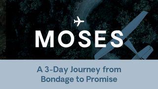 Moses: A 3-Day Journey From Bondage to Promise 出埃及记 20:5 新标点和合本, 神版