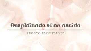 Despidiendo Al No Nacido (Aborto Espontáneo) 2 CORINTIOS 12:10 La Palabra (versión española)