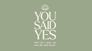 You Said Yes: How Do I Start My New Life With Jesus? Psalmen 113:7 BasisBijbel