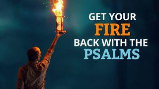 Get Your Fire Back With the Psalms!
