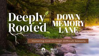 [Deeply Rooted] Down Memory Lane Psalms 13:5 Amplified Bible