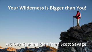 Your Wilderness Is Bigger Than You!
