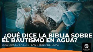 ¿Qué Dice La Biblia Sobre El Bautismo en Agua? 聖馬太福音 3:17 包爾騰－柏漢理淺文理《新約聖經》