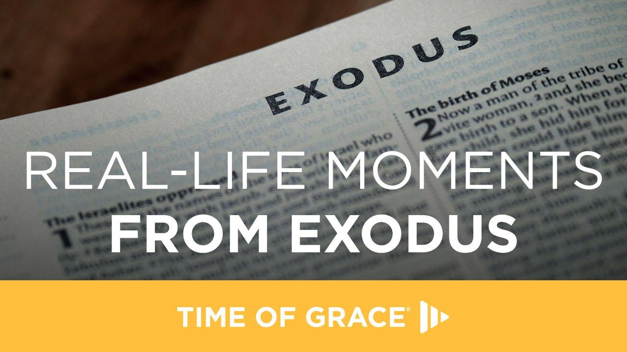 Real-Life Moments From Exodus