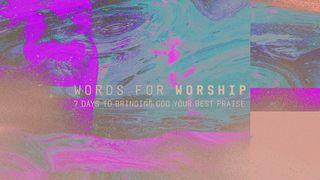 Words for Worship: 7 Days to Bringing God Your Best Praise De Psalmen 113:3 Statenvertaling (Importantia edition)