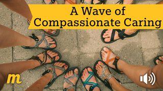 A Wave Of Compassionate Caring Kutoka 4:14 BIBLIA Yenye Vitabu vya Deuterokanoni HABARI NJEMA