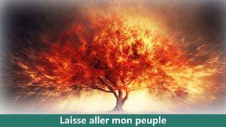 Laisse aller mon peuple Exode 3:10 La Bible expliquée