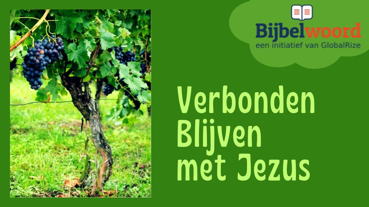 Verbonden blijven met Jezus