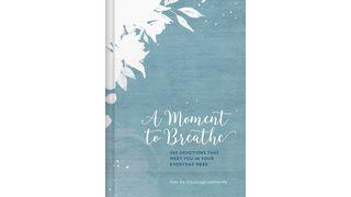 A Moment To Breathe - 5 Day Devotions That Meet You In Your Everyday Mess  Romanos 14:17-18 Bíblia Sagrada, Nova Versão Transformadora