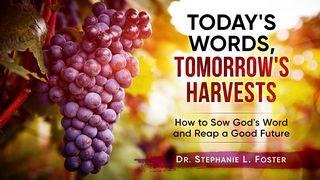 Today's Words, Tomorrow's Harvests Psalm 5:12 Kadede Kap Psam Akan