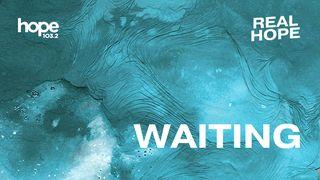 Waiting Deuteronomio 2:7 Nueva Traducción Viviente