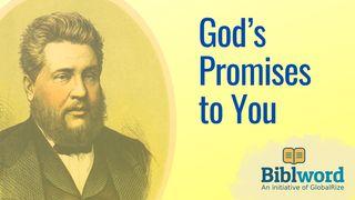 God's Promises to You Jesaja 41:4 NBG-vertaling 1951