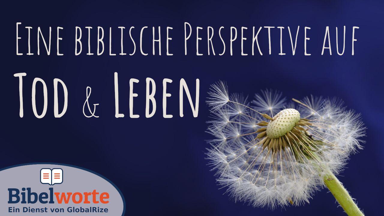 Eine biblische Perspektive auf Tod und Leben