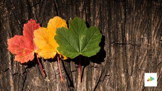 Mentoring Lessons- Leadership Transition མཐིཿ 20:26-28 སཏྱཝེདཿ། Sanskrit Bible (NT) in Tibetan Script