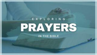 Exploring Prayers in the Bible ダニエル書 9:3 Seisho Shinkyoudoyaku 聖書 新共同訳