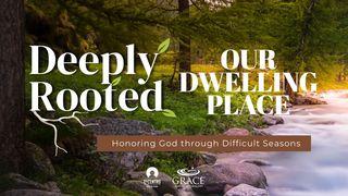 [Deeply Rooted] Our Dwelling Place 诗篇 92:1 新译本