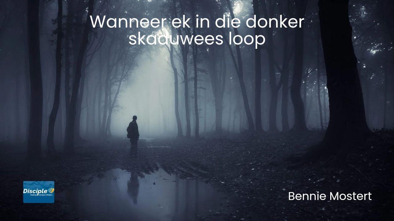 Wanneer ek in die donker skaduwees loop