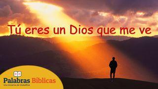 Tú Eres Un Dios Que Me Ve S. Mateo 23:25-28 Biblia Reina Valera 1960