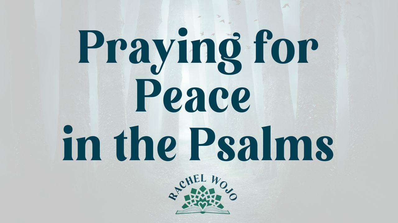 Praying for Peace From Psalms