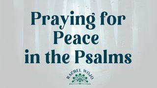 Praying for Peace From Psalms Psalms 4:1 Amplified Bible