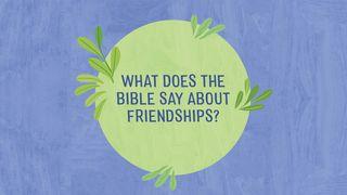 What Does the Bible Say About Friendships? Waebrania 3:12 Biblia Habari Njema