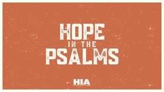 Hope in the Psalms: Seeing Triumph Over Addiction in the Songs of David Salmos 30:1 Almeida Revista e Corrigida