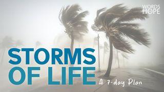 Storms of Life: Encouragement for Seasons of Struggle Luke 6:6-11 The Passion Translation