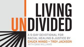 Living Undivided: A Devotional for Racial Healing & Justice Nehemiah 4:10-14 English Standard Version Revision 2016